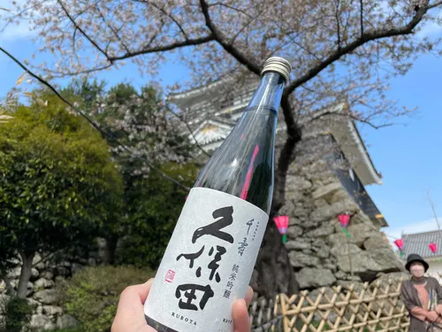 お城と桜をバックにかがやく日本酒